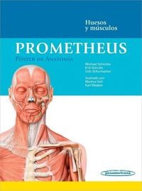Produktbild: Prometheus : p&oacute;ster de anatom&iacute;a : huesos y m&uacute;sculos