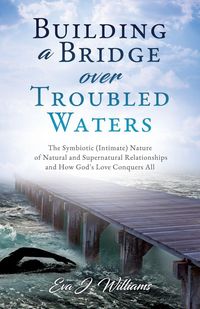 Produktbild: Building a Bridge over Troubled Waters