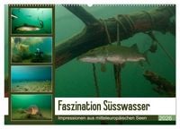 Produktbild: Faszination S&uuml;sswasser (Wandkalender 2026 DIN A2 quer), CALVENDO Monatskalender