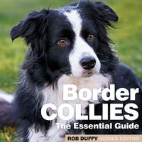 Produktbild: Border Collies