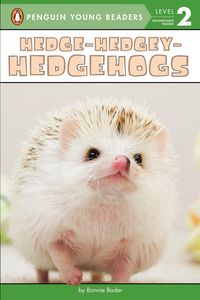 Produktbild: Hedge-Hedgey-Hedgehogs