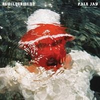 Produktbild: Bewilderment