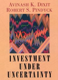 Produktbild: Investment under Uncertainty