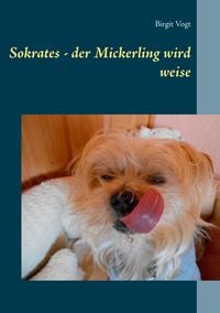 Produktbild: Sokrates - der Mickerling wird weise