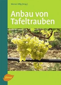 Produktbild: Anbau von Tafeltrauben