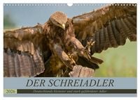 Produktbild: Der Schreiadler (Clanga pomarina) - Deutschands kleinster und stark gef&auml;hrdeter Adler. (Wandkalender 2026 DIN A3 quer), CALVENDO Monatskalender