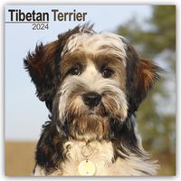 Bild vom Artikel Tibetan Terrier - Tibet Terrier 2024 - 16-Monatskalender vom Autor Avonside Publishing