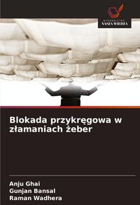 Produktbild: Blokada przykr&iquest;gowa w z&iquest;amaniach &iquest;eber