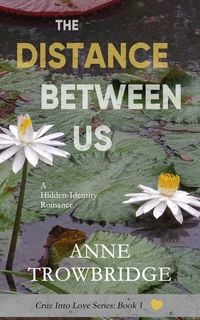 Produktbild: The Distance Between Us