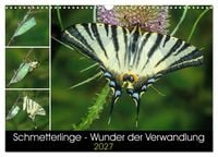 Produktbild: Schmetterlinge - Wunder der Verwandlung (Wandkalender 2027 DIN A3 quer), CALVENDO Monatskalender