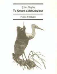 Produktbild: Digby, J: To Amuse a Shrinking Sun