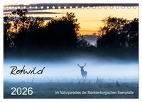 Produktbild: Rotwild - im Naturparadies der Mecklenburgischen Seenplatte (Tischkalender 2026 DIN A5 quer), CALVENDO Monatskalender