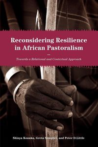 Produktbild: Reconsidering Resilience in African Pastoralism