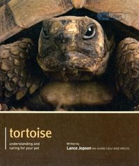 Produktbild: Tortoise - Pet Expert