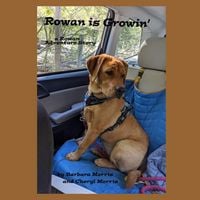 Produktbild: Rowan is Growin'