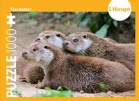Produktbild: Fischotter &ndash; Puzzle