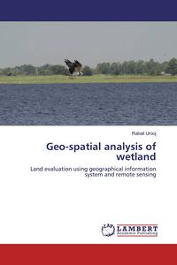 Produktbild: Geo-spatial analysis of wetland