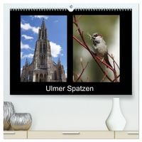 Produktbild: Ulmer Spatzen (hochwertiger Premium Wandkalender 2026 DIN A2 quer), Kunstdruck in Hochglanz
