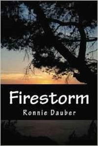 Produktbild: Firestorm (Sarah Davies, #2)