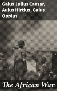 Produktbild: The African War