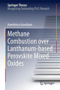 Produktbild: Methane Combustion over Lanthanum-based Perovskite Mixed Oxides