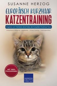 Bild vom Artikel Europäisch Kurzhaar Katzentraining - Ratgeber zum Trainieren einer Katze der Europäisch Kurzhaar Rasse vom Autor Susanne Herzog