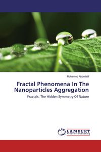 Produktbild: Fractal Phenomena In The Nanoparticles Aggregation