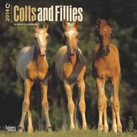 Produktbild: Colts & Fillies Calendar