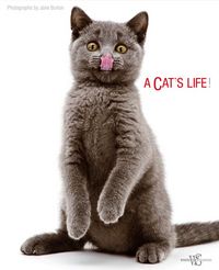 Produktbild: Cat's Life