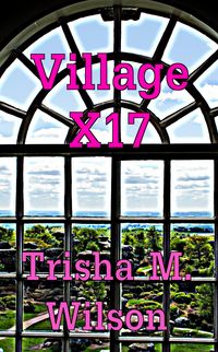 Produktbild: Village X17