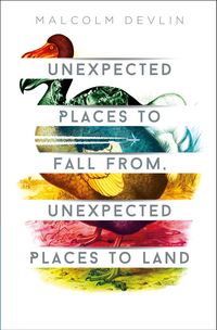 Produktbild: Unexpected Places to Fall From, Unexpected Places to Land