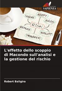 Produktbild: L'effetto dello scoppio di Macondo sull'analisi e la gestione del rischio