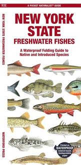 Produktbild: Morris, M: New York State Freshwater Fishes