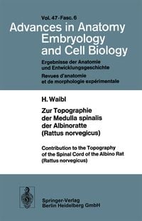 Produktbild: Zur Topographie der Medulla spinalis der Albinoratte (rattus norvegicus) / Contributions to the Topography of the Spinal Cord of the Albino Rat (Rattu