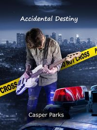 Produktbild: Accidental Destiny