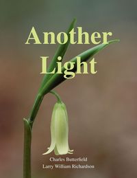 Produktbild: Another Light