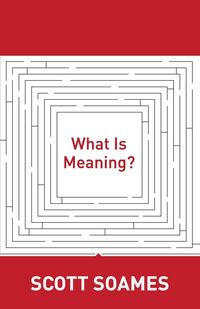 Produktbild: What Is Meaning?