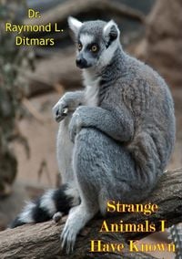 Produktbild: Strange Animals I Have Known
