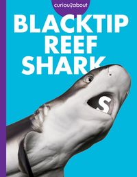 Produktbild: Curious about Blacktip Reef Sharks
