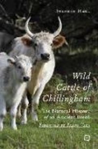 Produktbild: Wild Cattle of Chillingham