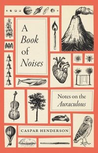 Produktbild: Book of Noises