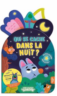 Produktbild: Qui se cache dans la nuit ?