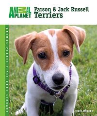 Produktbild: Parson & Jack Russell Terriers