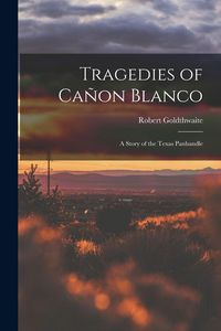 Produktbild: Tragedies of Ca&ntilde;on Blanco; a Story of the Texas Panhandle