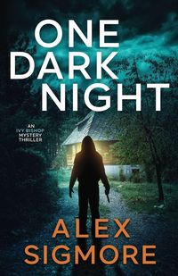 Produktbild: One Dark Night