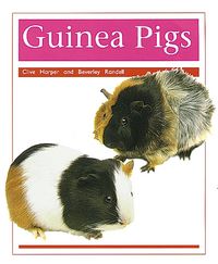 Produktbild: Guinea Pigs