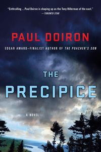 Produktbild: The Precipice