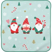 Produktbild: Zauberhandtuch Motiv "Wichtel"