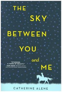 Produktbild: The Sky Between You and Me