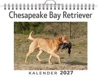 Produktbild: Chesapeake Bay Retriever